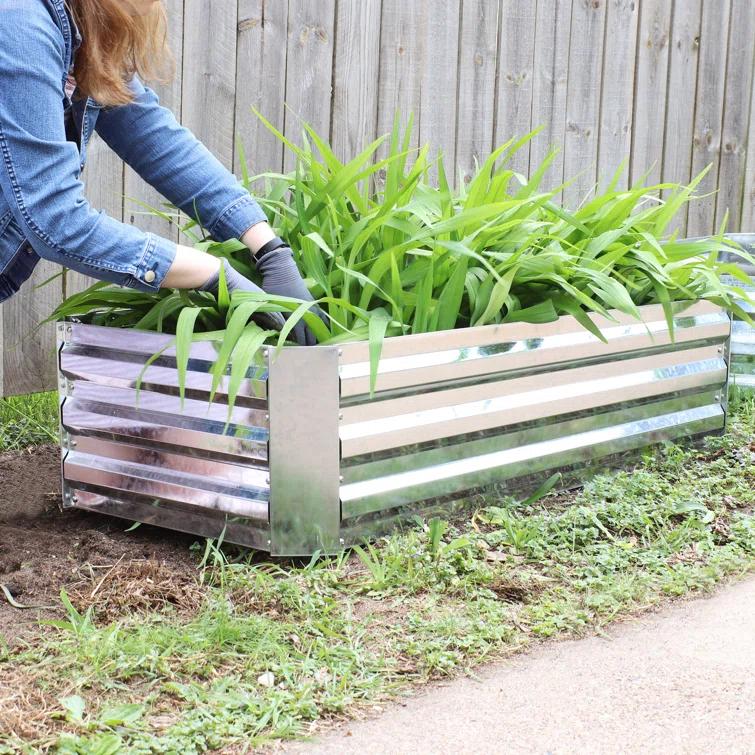 Ippolito Rectangular Galvanized Steel Raised Garden Bed
