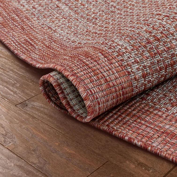 Marshanna Odin Solid Striped Border Indoor Outdoor Coral Flatweave Rug