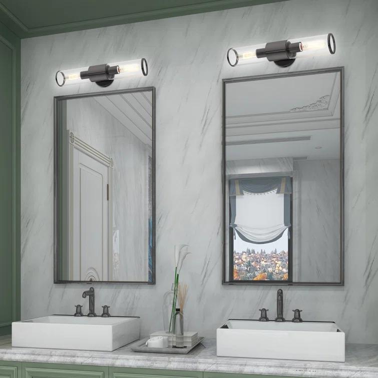 Wade Logan® Birchfield Dimmable Vanity Light