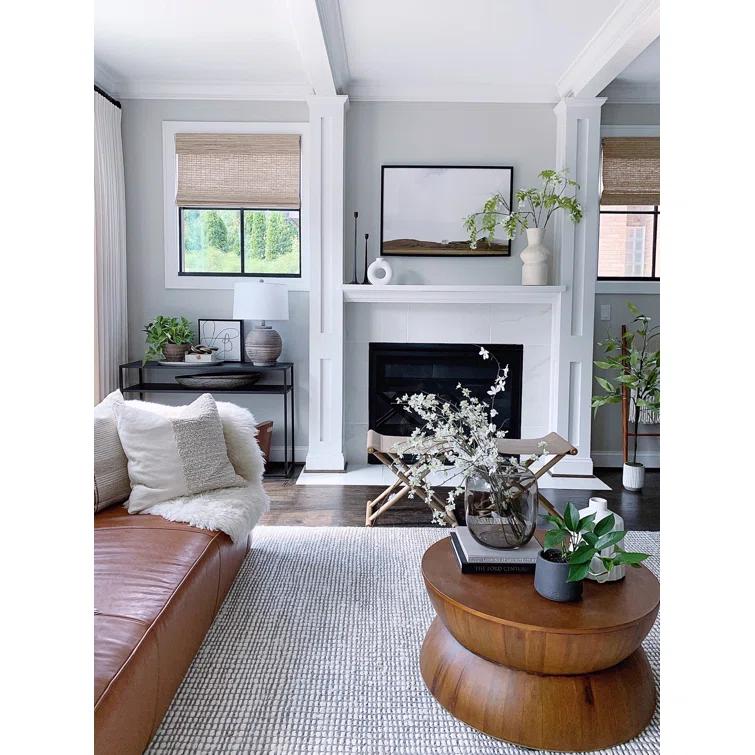 Zaragoza Hand Woven Performance Solid Color Rug