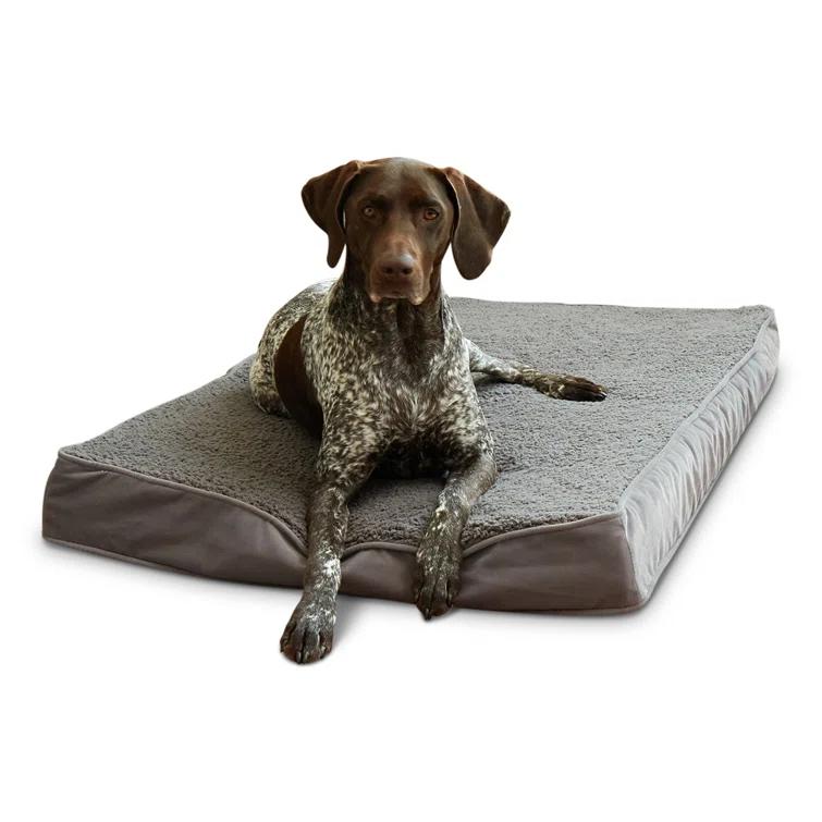 Lindholm Orthopedic Pillow Dog Bed