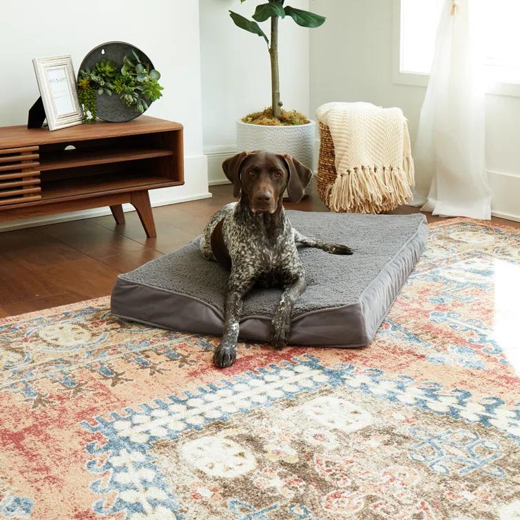 Lindholm Orthopedic Pillow Dog Bed