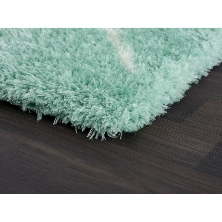 Adrial Turquoise Shag Area Rug
