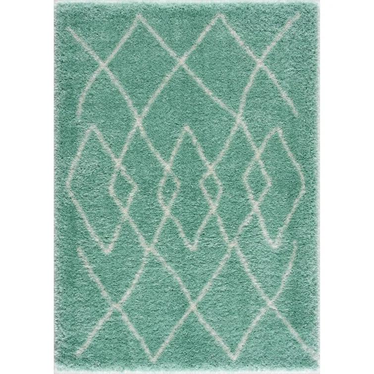 Adrial Turquoise Shag Area Rug