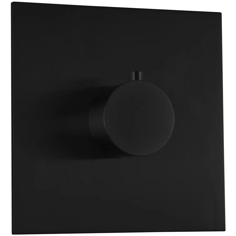 Artos F904A-9TKBK Thermostatic Valve Trim Kit, R+S