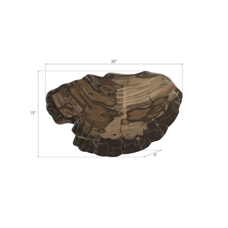 Cast Naturals Petrified Wood Wall Décor
