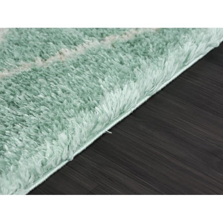 Adrial Turquoise Shag Area Rug
