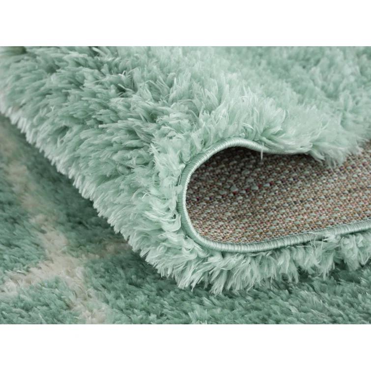Adrial Turquoise Shag Area Rug