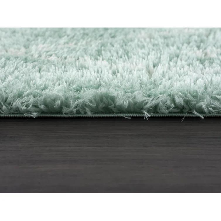 Adrial Turquoise Shag Area Rug
