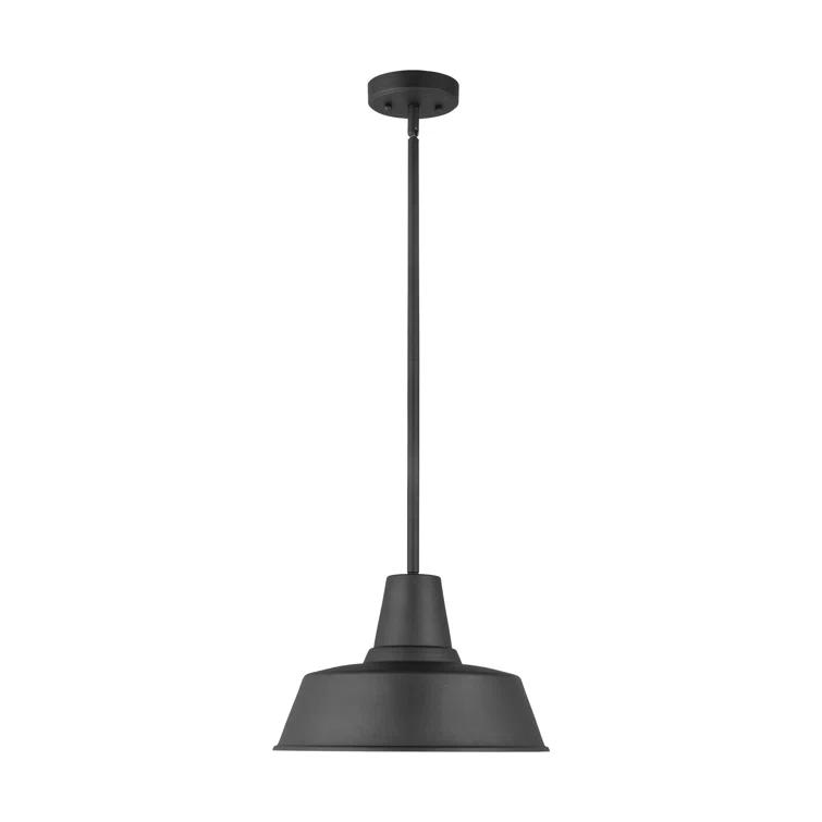 Fisher Outdoor Pendant Light - Black / 14" Dia