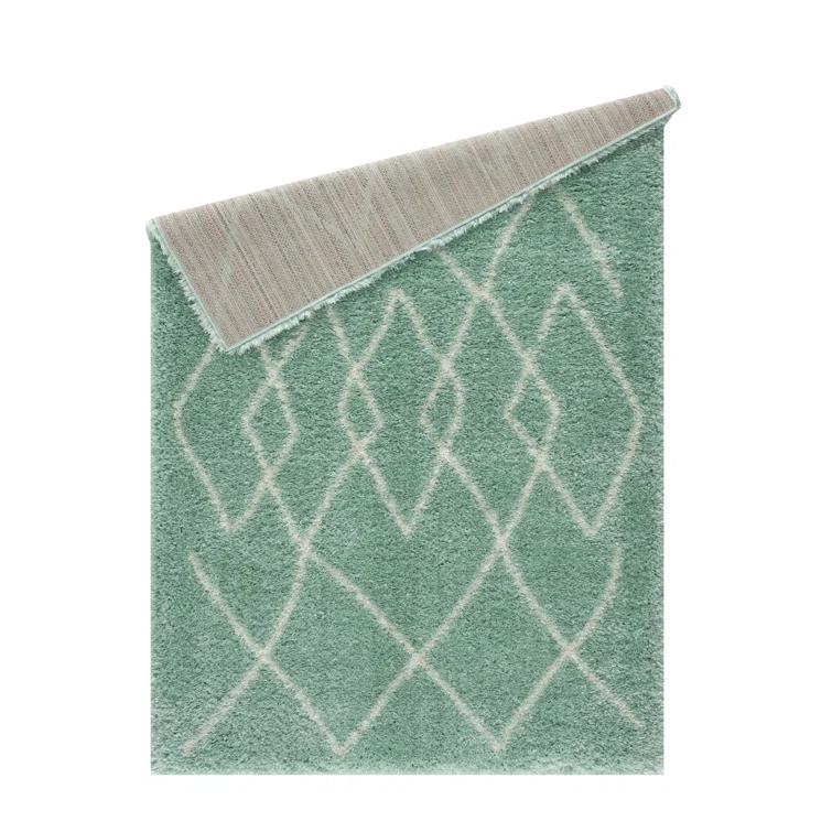 Adrial Turquoise Shag Area Rug