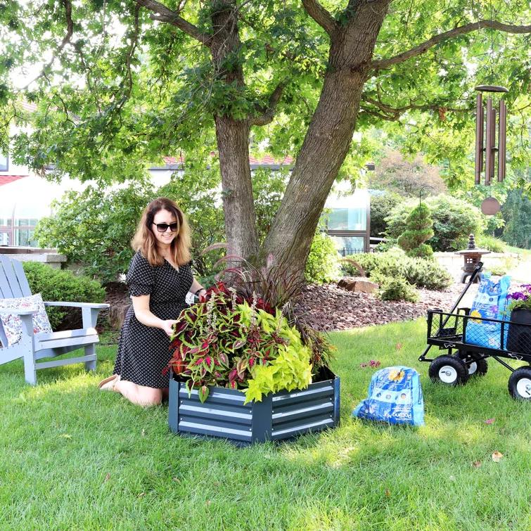 Irick Hexagon Galvanized Steel Raised Garden Bed - 40.5" x 36" x 11.75"