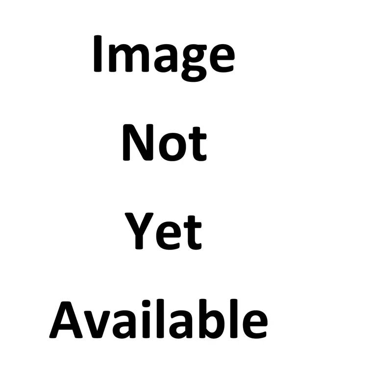 Gray Poplar Wood End Table with Storage