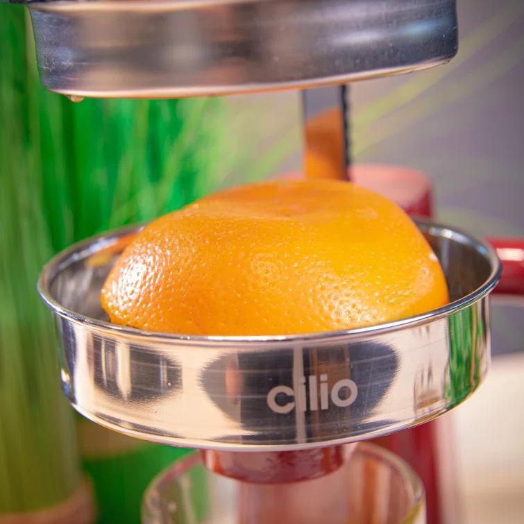 Frieling Positano Citrus Juicer | Wayfair