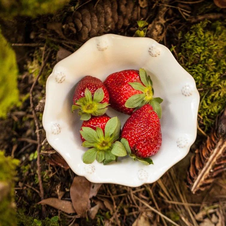 Juliska Berry & Thread Berry Cereal Bowl - Whitewash