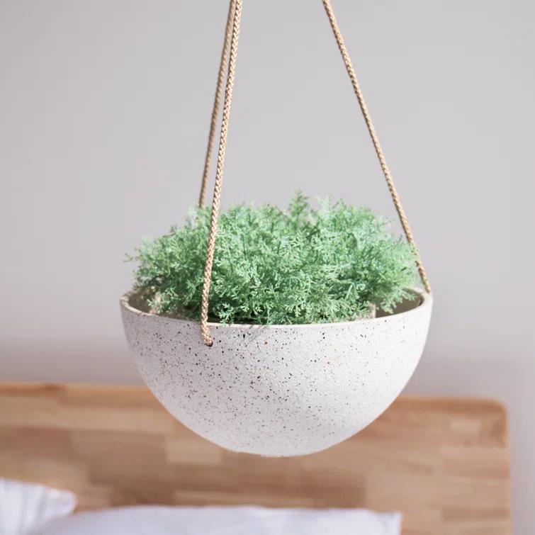 Boxdale Hanging Planter - Set of 2 (Set of 2)