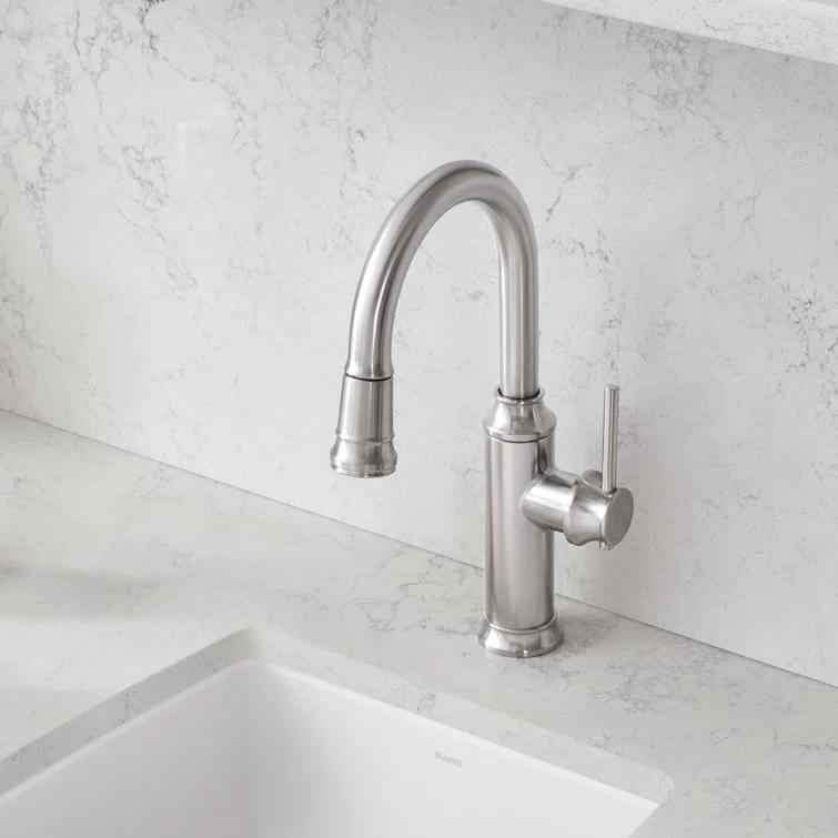Empressa Pull Down Bar Faucet