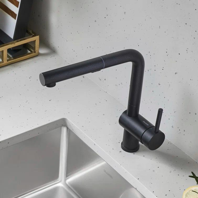 Linus Pull Out Dual Spray Kitchen Faucet