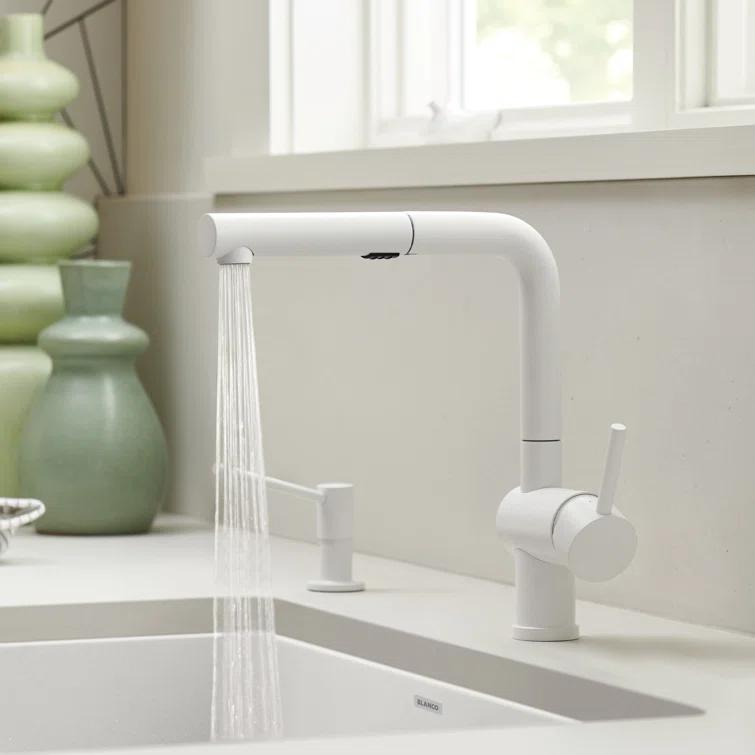 Linus Pull Out Dual Spray Kitchen Faucet