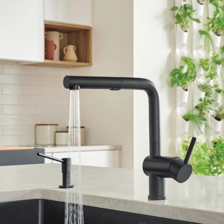 Linus Pull Out Dual Spray Kitchen Faucet