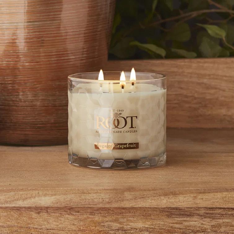 Root Candles Sugared Grapefruit Scented Jar Candle