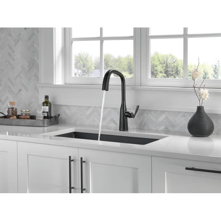 Stryke Pull Down Touchless Single Handle Kitchen Faucet with Delta VoiceIQ Technology and With Accessories