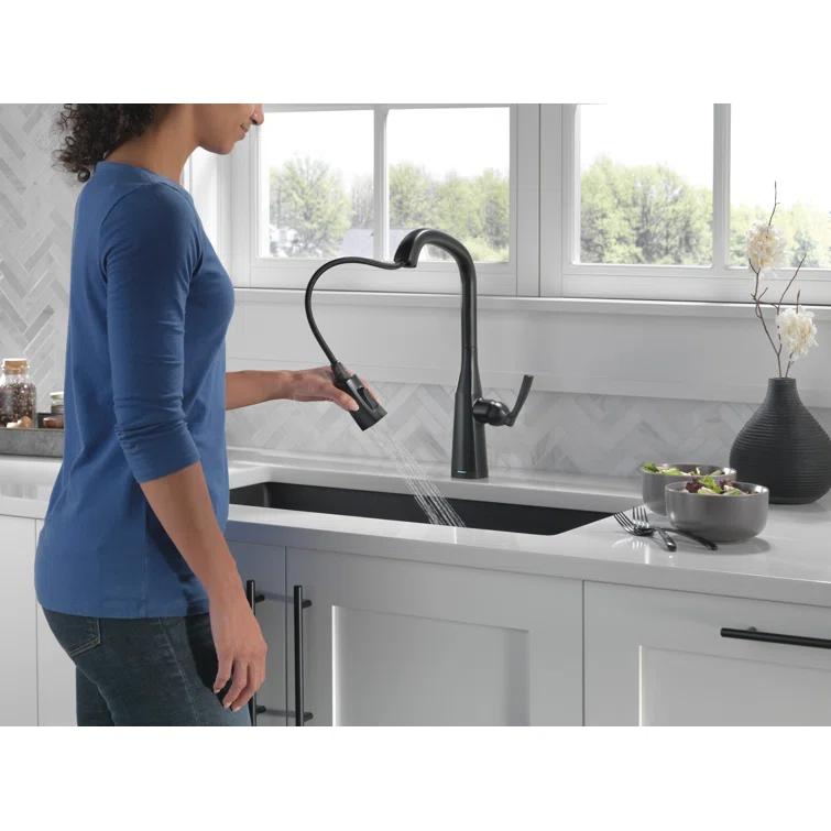 Stryke Pull Down Touchless Single Handle Kitchen Faucet with Delta VoiceIQ Technology and With Accessories