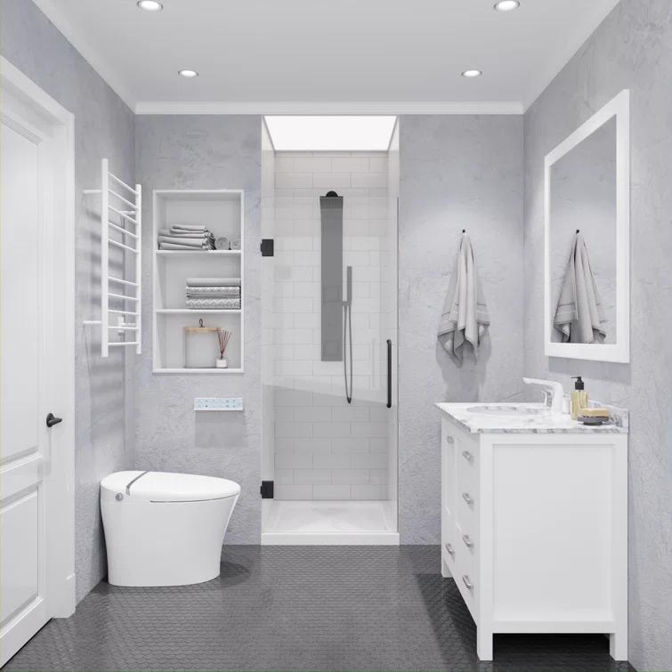 ANZZI Passion Series 30 In. X 72 In. Frameless Hinged Shower Door With Stainless Steel Handle In Gunmetal