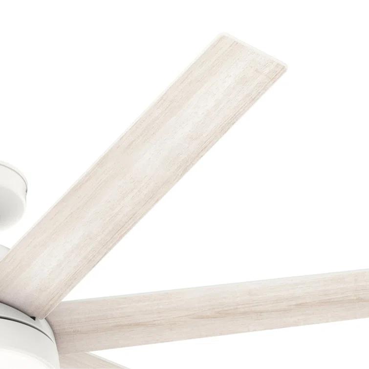 60" Phenomenon 7 - Blade Smart Standard Ceiling Fan with Wall Control and Light Kit Included