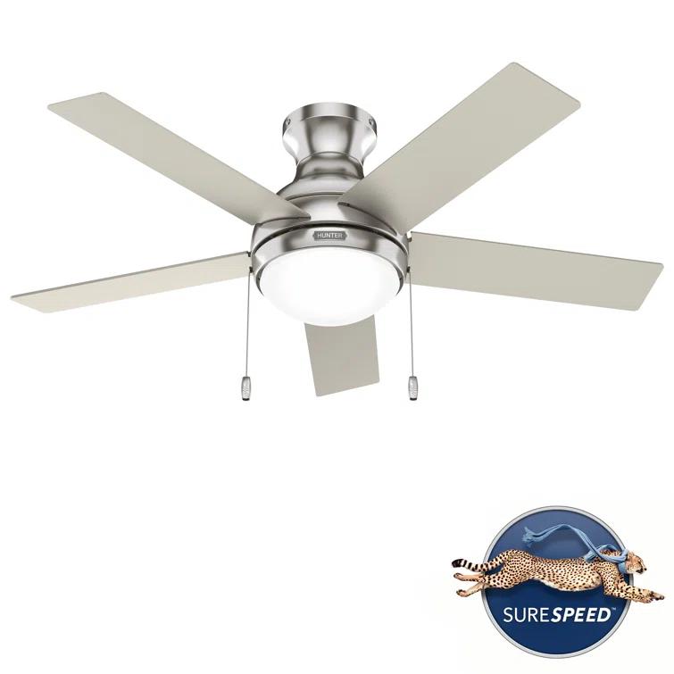 44" Aren 5 - Blade Flush Mount Ceiling Fan with Pull Chain and Light Kit Included