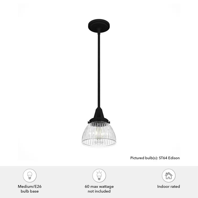 Cypress Grove 1 Light Dome Pendant?