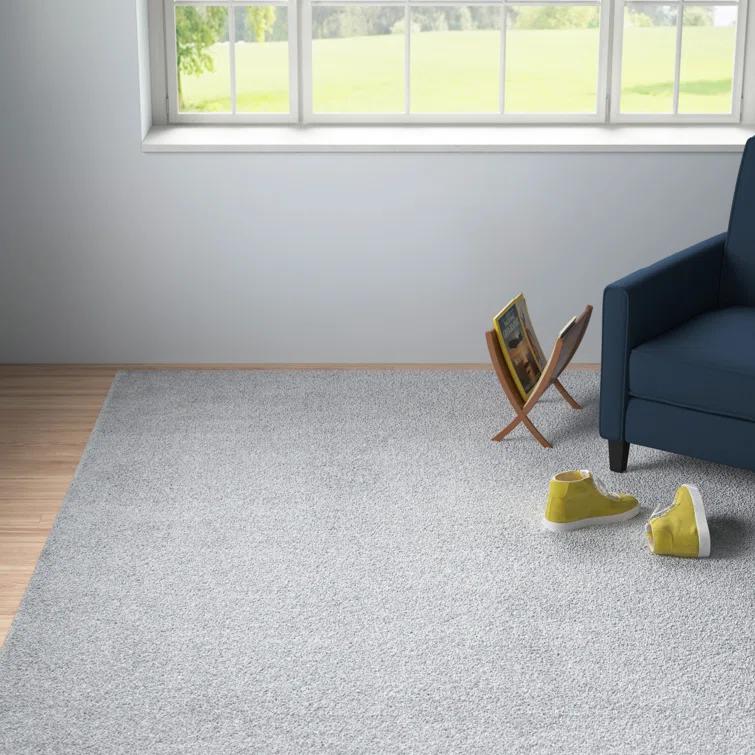 Aeneas Gray Area Rug