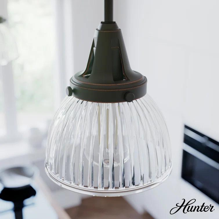 Hunter Fan Cypress Grove 1 Light Dome Pendant?