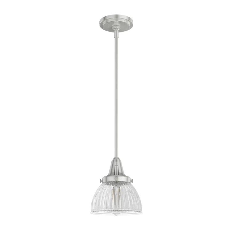 Cypress Grove 1 Light Dome Pendant?