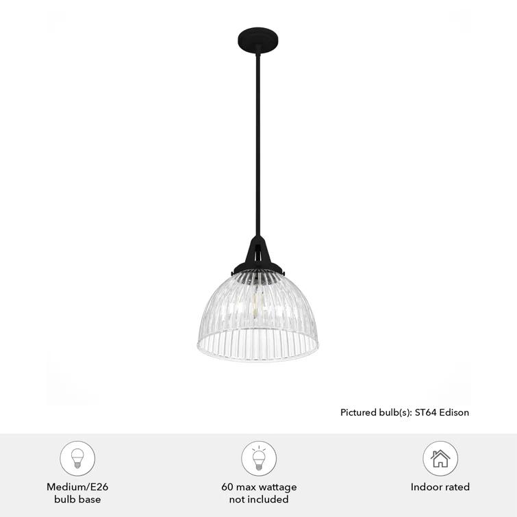 Cypress Grove 1 Light Dome Pendant?