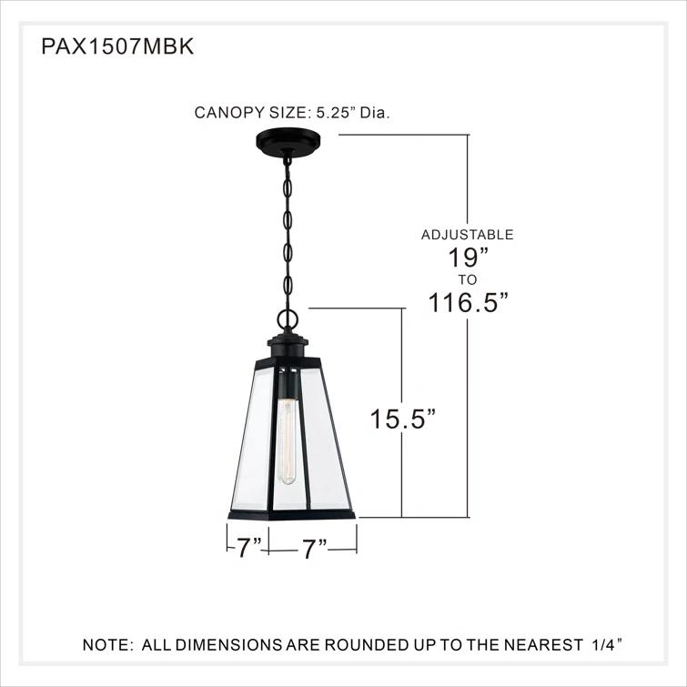 Carnagall 1 - Light Lantern Pendant