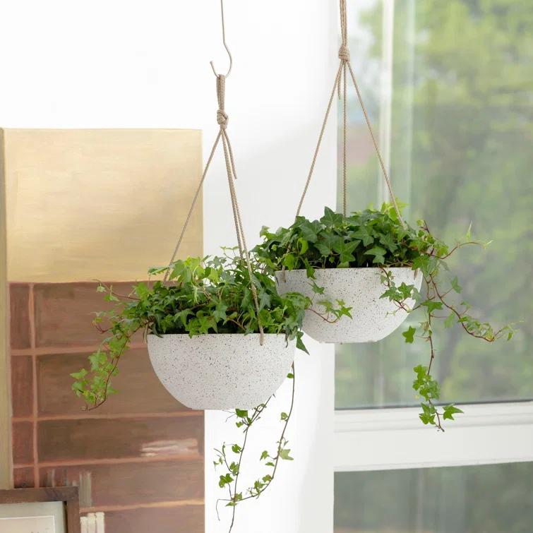 Boxdale Hanging Planter - Set of 2 (Set of 2)