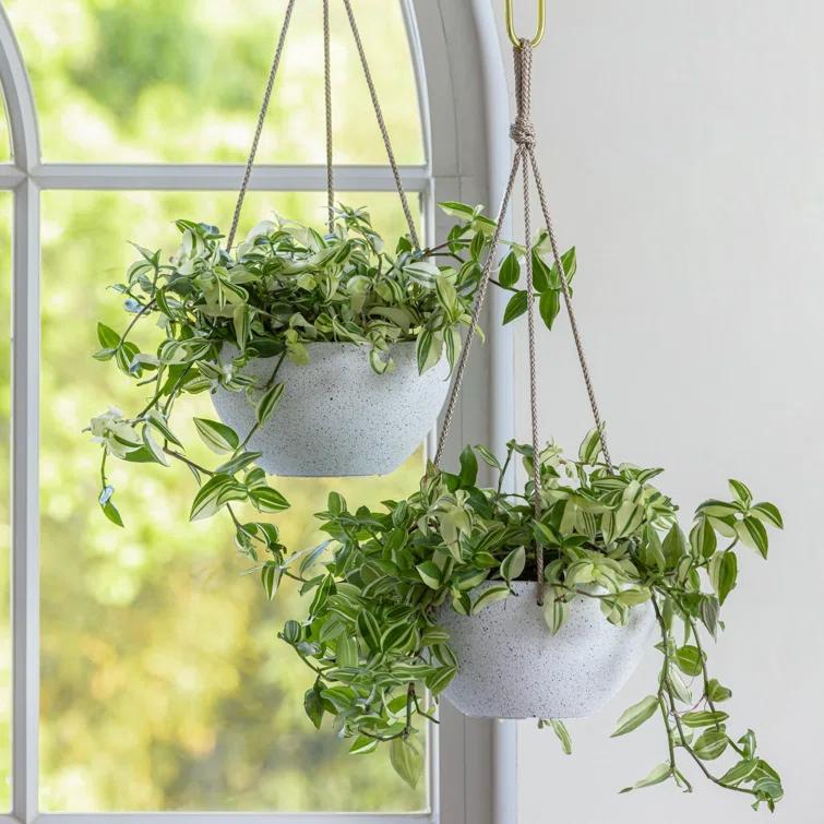 Boxdale Hanging Planter - Set of 2 (Set of 2)