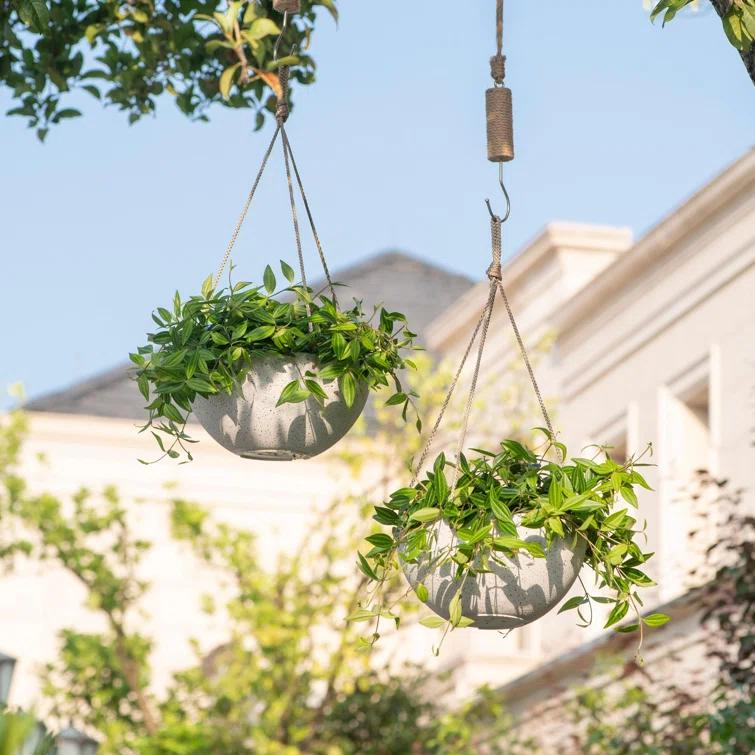 Boxdale Hanging Planter - Set of 2 (Set of 2)