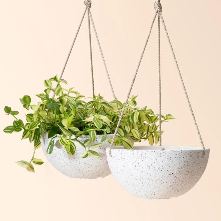 Boxdale Hanging Planter - Set of 2 (Set of 2)