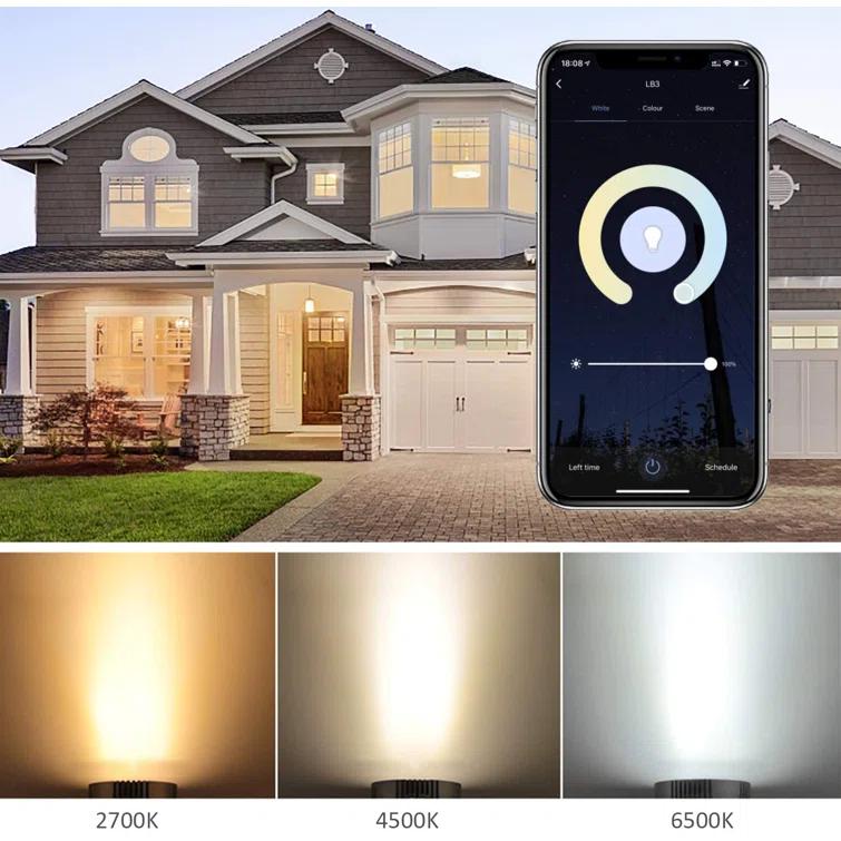 75 Watt Equivalent BR30 E26/Medium (Standard) Dimmable LED Smart Bulb