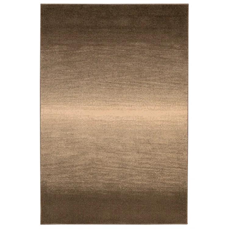 Ombre Rug