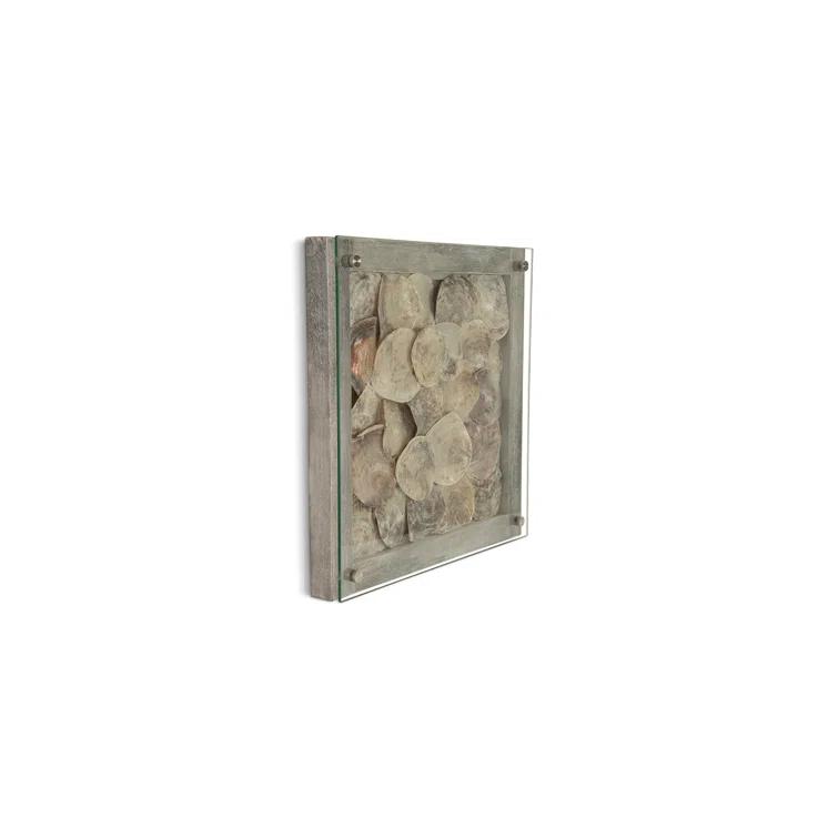 Phillips Collection Dimensional Shell Wall Décor