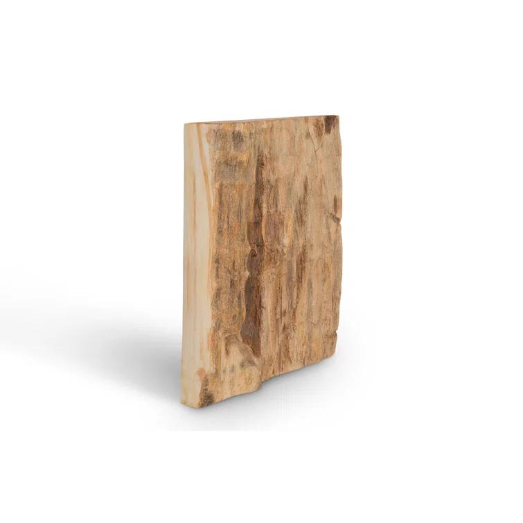 Cast Naturals Petrified Wood Wall Décor