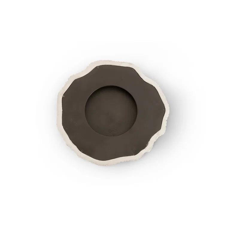 Fungia Modern Accent Mirror