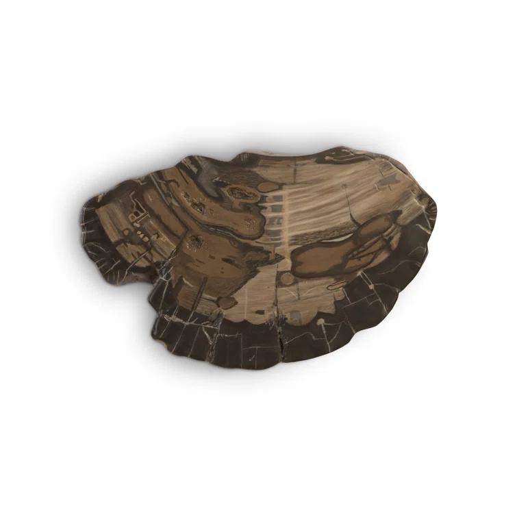 Cast Naturals Petrified Wood Wall Décor