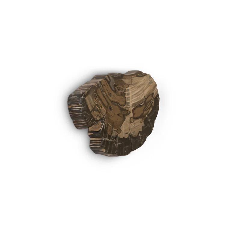 Cast Naturals Petrified Wood Wall Décor