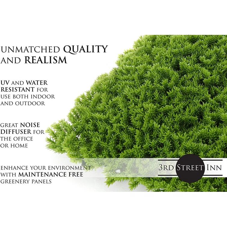 1'' Faux Hedge (Set of 2)