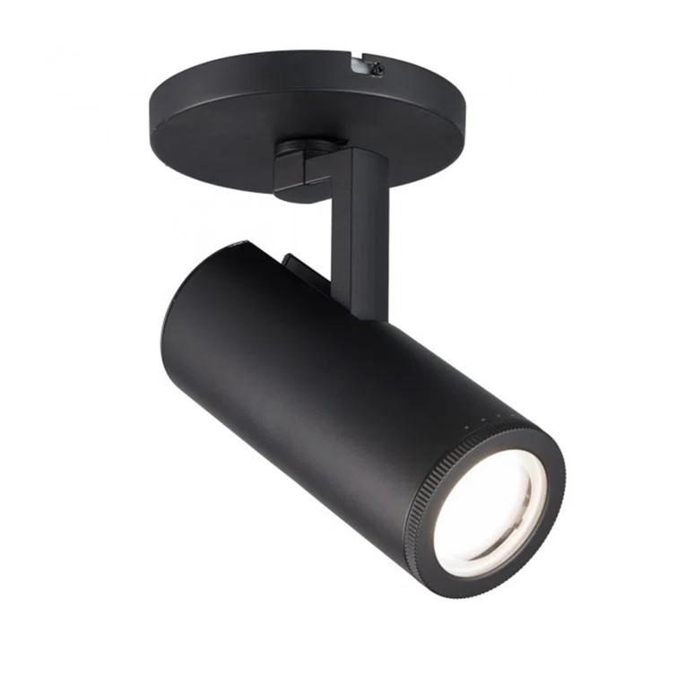 Paloma Glass LED Spotlight