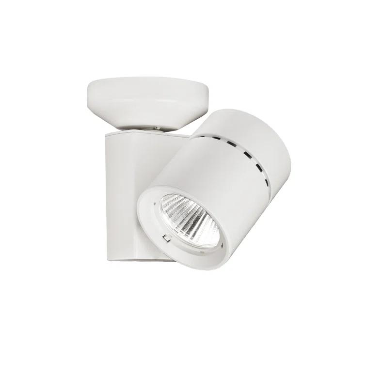 Exterminator II Glass LED Spotlight